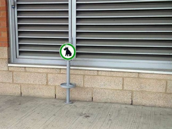 Парковка для собак 
